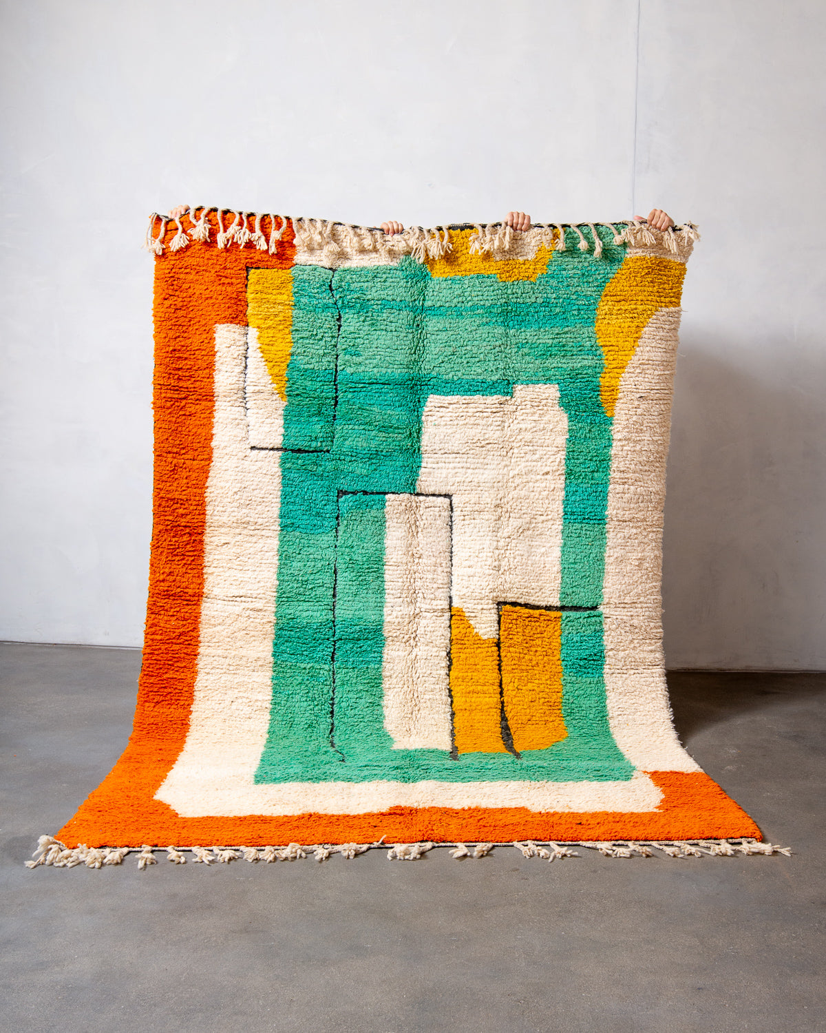 Modern, designer, handcrafted Berber rug from Morocco. Beniourain carpet with beautiful colours and patterns and fluffy wool texture.